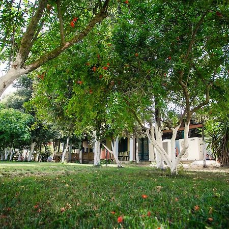 Agriturismo Archelao Oristano Eksteriør billede